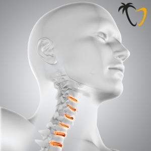 Cervical Spine Cervical Spine
