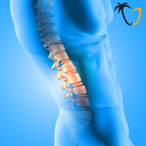 Lumbar Spine Lumbar Spine