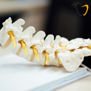 Sacral Spine Sacral Spine